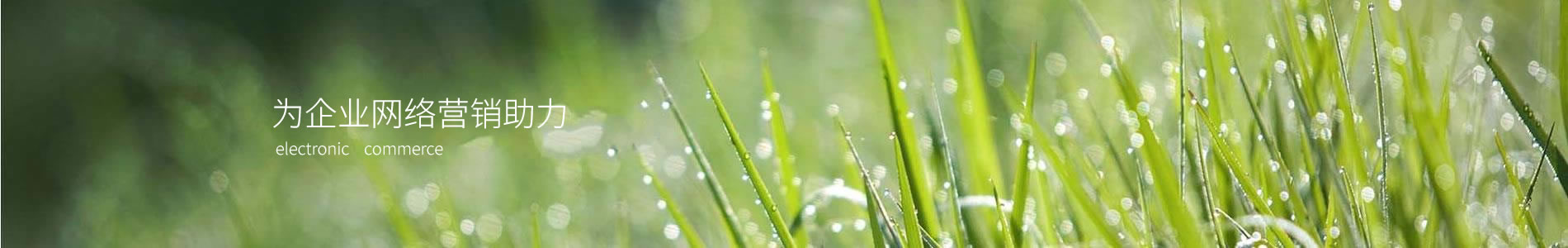 ϣ󻷱Ƽ޹˾